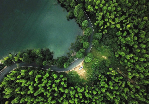 DT电子(中国)集团官网