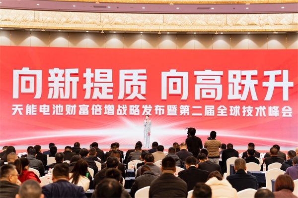 DT电子(中国)集团官网