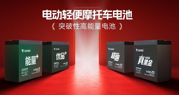 DT电子(中国)集团官网