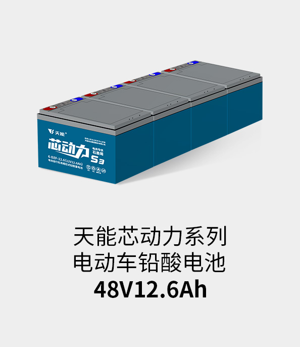 DT电子官网电池48v12ah