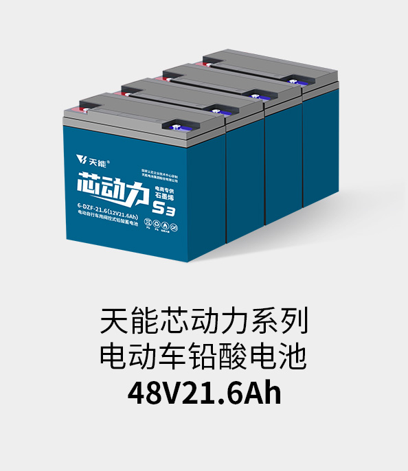 DT电子官网电池48v20ah