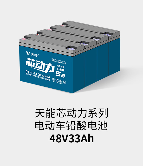 DT电子官网电池48v32ah