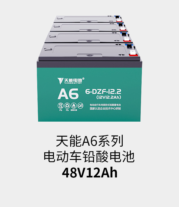 DT电子官网电池48v12ah