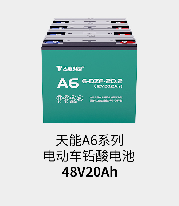 DT电子官网电池48v20ah