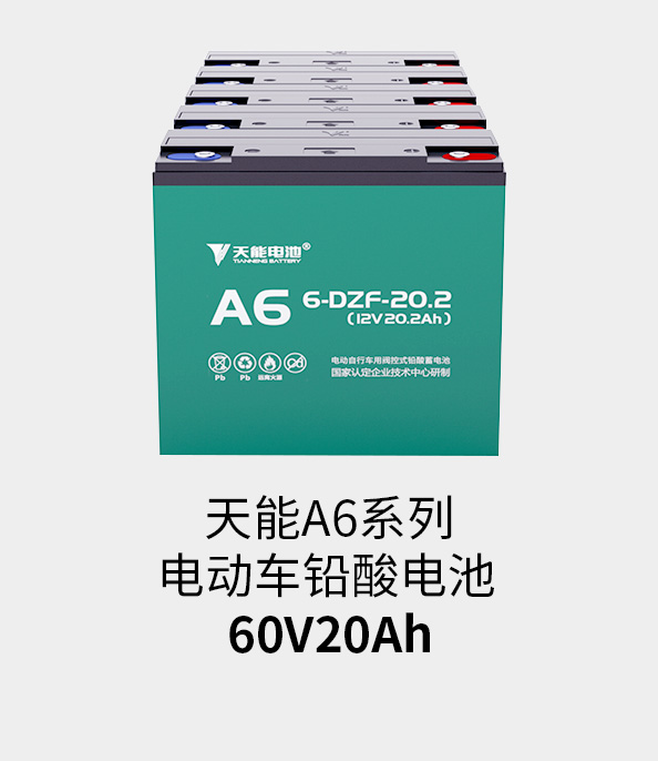 DT电子官网电池60v20ah
