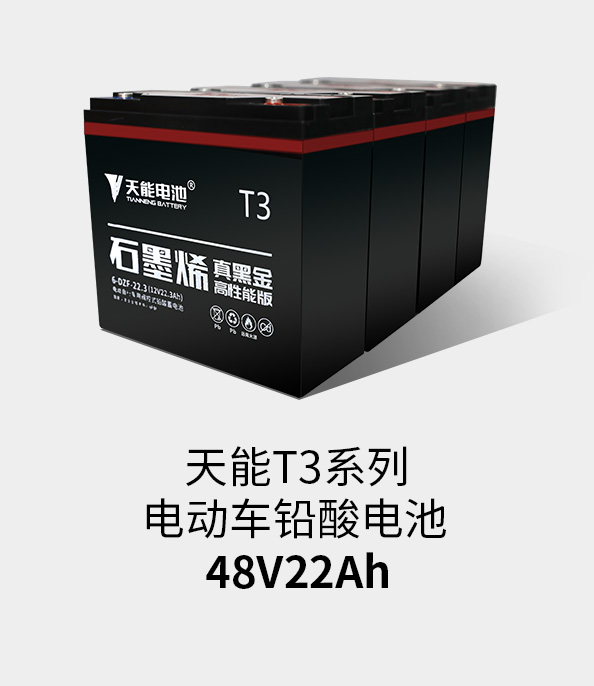 DT电子官网T3系列48v22ah